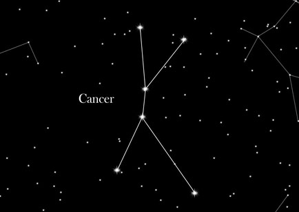 Constellation Crab