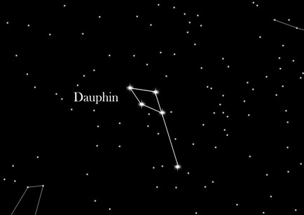 Constellation Dolphin